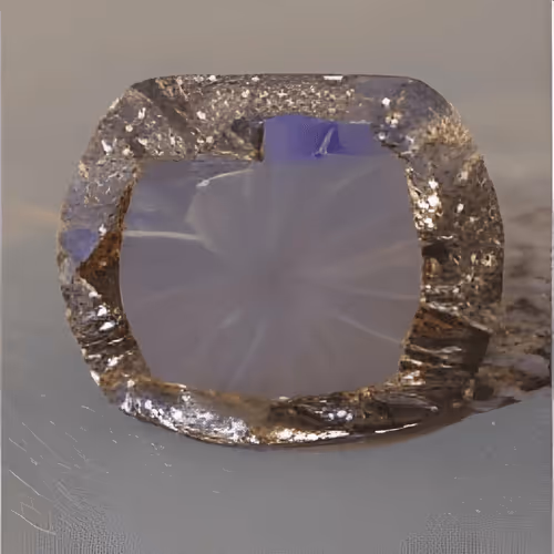 Item #115378233106269562062893601041301703577834123166252020502745166042004839202854 Media