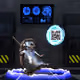 953