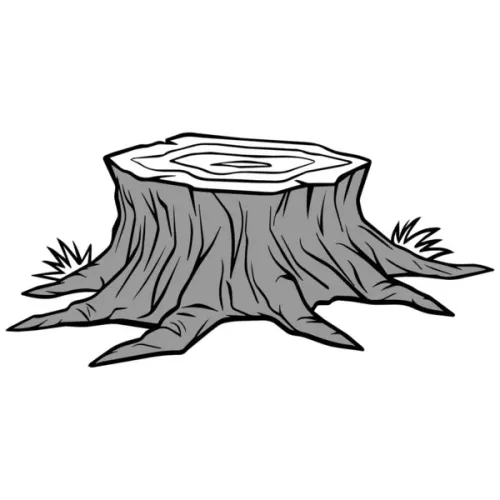 Tree house