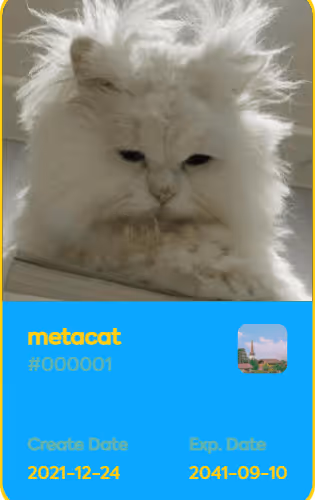 metacat V3