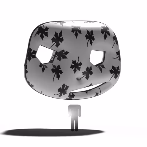 Item #17 Media