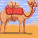 Desert Camel Background