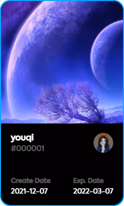 youqi V2