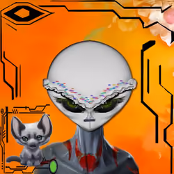657