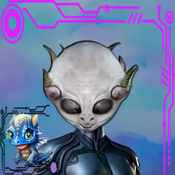 242