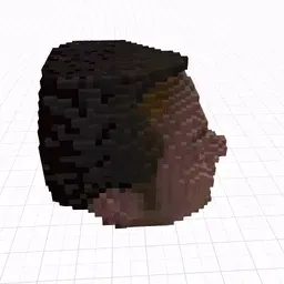 Item #6 Media