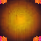cryptomusicarecords.lens-Collect-7