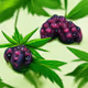 3909
