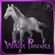 Universal Stallion Horse