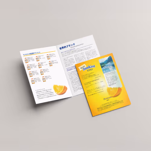 Promotional DAESANG JAPN Brochure Design for Sunkist Vitamins – August 2006