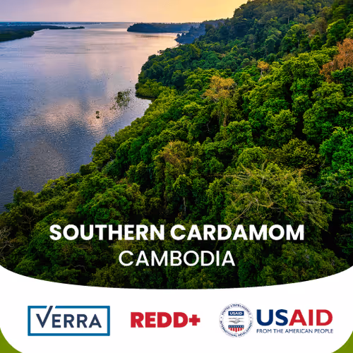 Southern Cardamom 1 Kg Samper