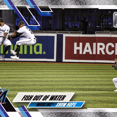 Miami Marlins R Fish Out Of Water Base Motion Plat