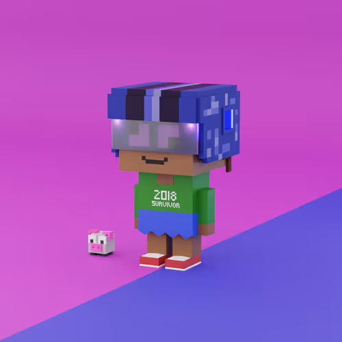 Item #11 Media