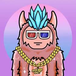 Iced Out Coin Flip #886