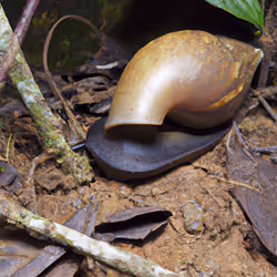 115617186630930112330948609445402711526654155629410793510800163096344460787745