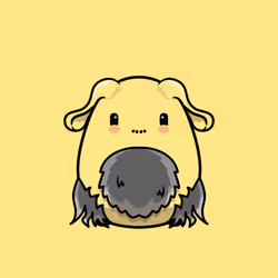 Spark Neutral Chumbi