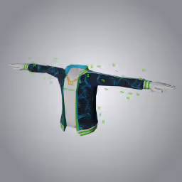 Decentraland Polygon Wearables