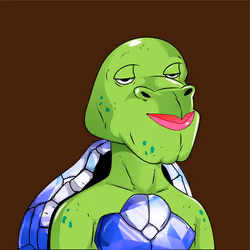 NFGTurtles #28
