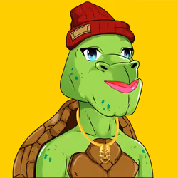NFGTurtles #29