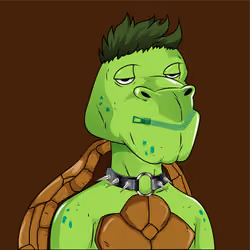 NFGTurtles #27