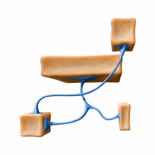 thefaketomato.lens-Collect-1044