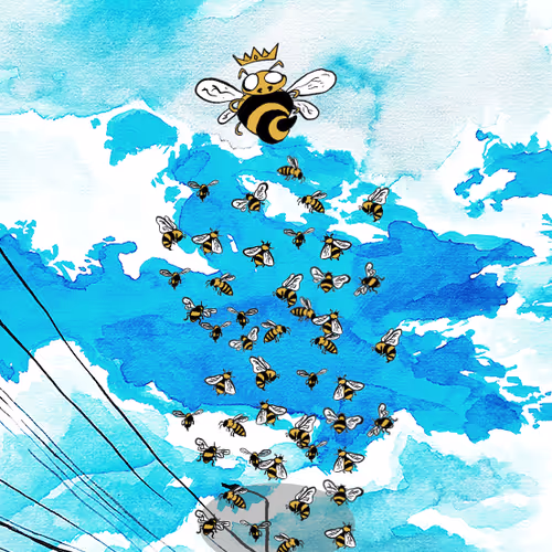 The Queen Bee #3