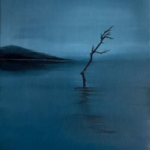 Midnight Solitude