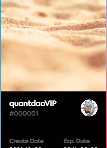 Quantdaovip