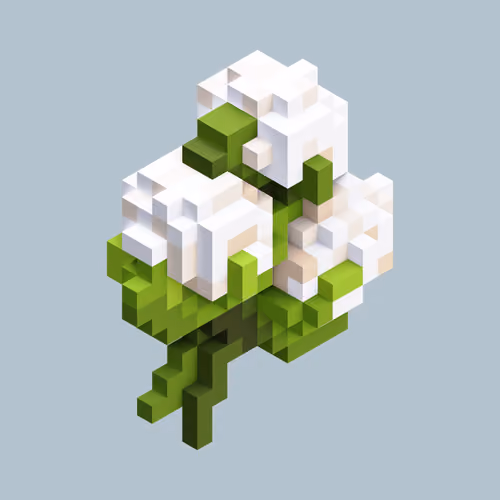 Cotton
