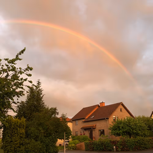 dianapugach.lens-Collect-126