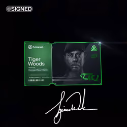 Tiger Woods Emerald Signed #39