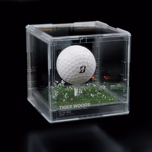 Tiger Woods - The Ace #8