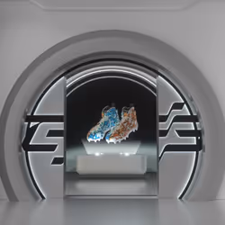 Tom Brady Carbon Combine Cleats #1305