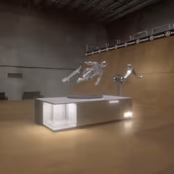 Tony Hawk Platinum Premier Immortal Statue #117