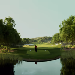 Tiger Woods Emerald Hole in One #70