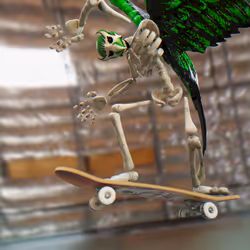 Tony Hawk Emerald Magic Dance #467