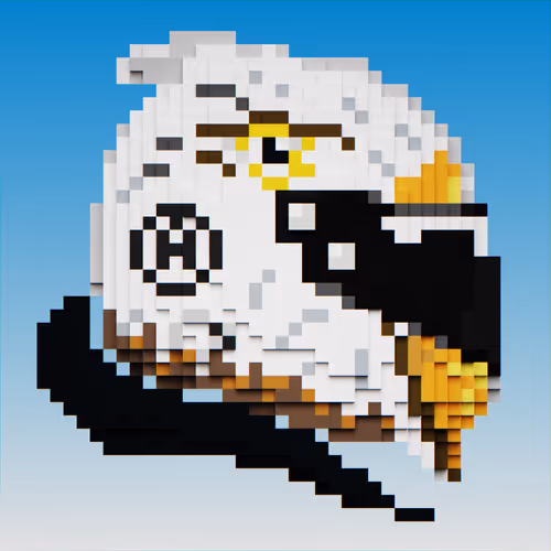 Eagle Helmet #19