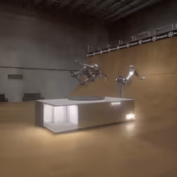 Tony Hawk Carbon Premier Immortal Statue #370