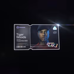 Tiger Woods Platinum Premier #1788