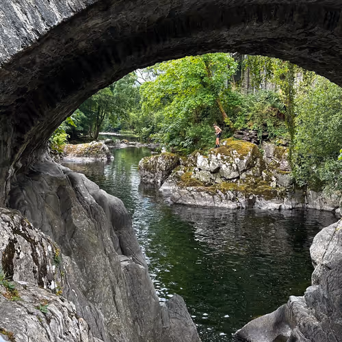 nelsongaldeman.lens-Collect-349