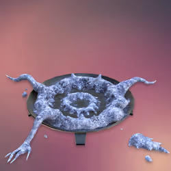 Ash #22609