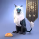 10441