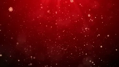 Item #40380643368751702576234141248993208204021049453764903335702699397938239504444 Media