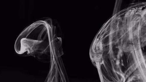 Item #40380643368751702576234141248993208204021049453764903335702699397938239504441 Media