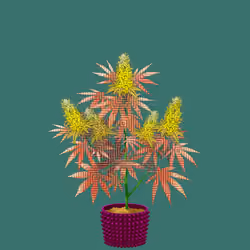 NFTokin #4085