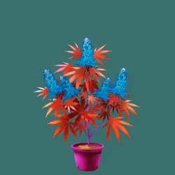 NFTokin #11317