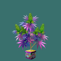 NFTokin #11714