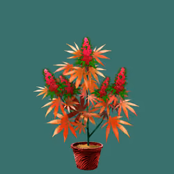 NFTokin #4523
