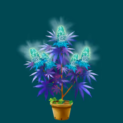 NFTokin #3284