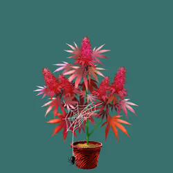 NFTokin #4286
